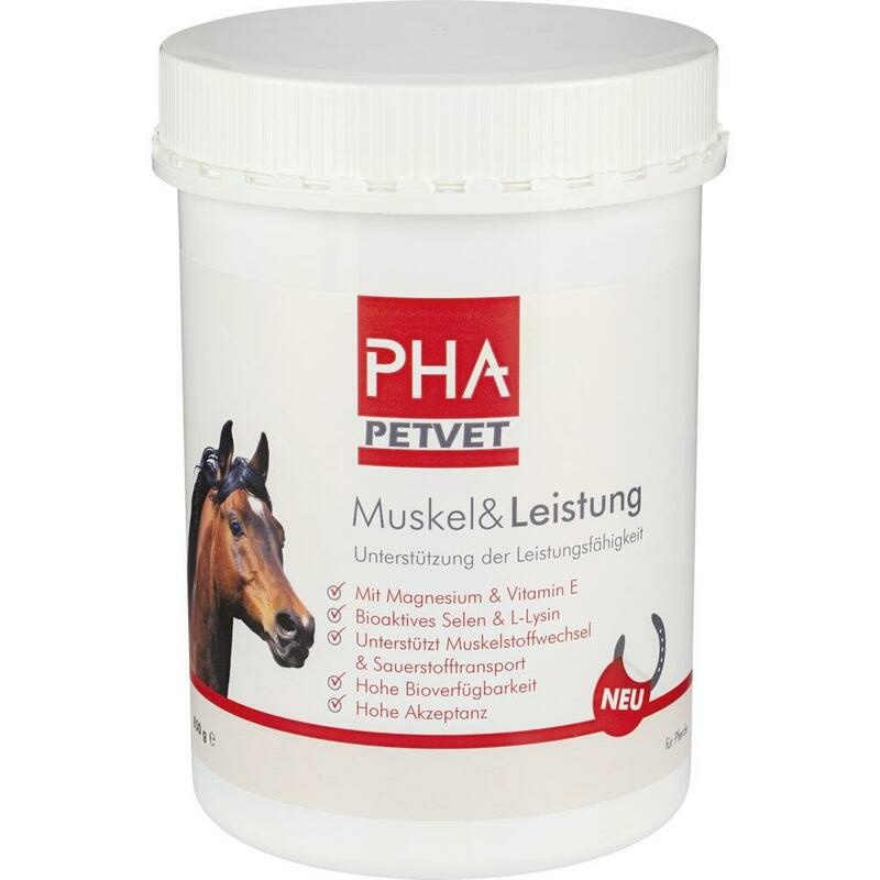 PHA Muskel & Leistung Pulver f.Pferde