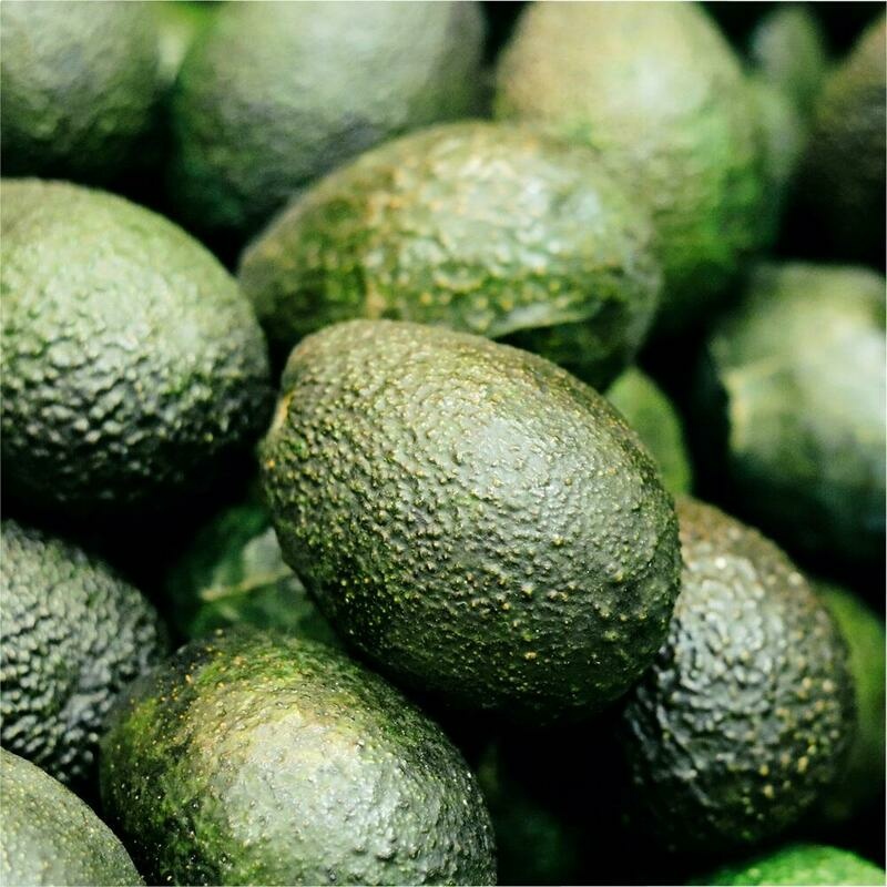 RAUSCH Avocado Farbschutz Shampoo