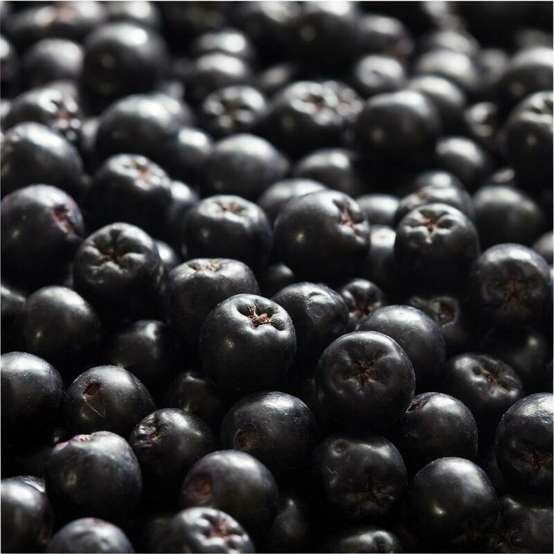 RAUSCH Aronia Anti-Grau Shampoo